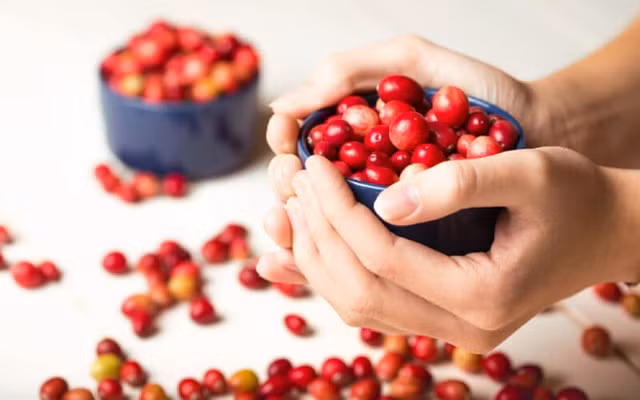Nam việt quất chứa nhiều chất dinh dưỡng có lợi cho sức khỏe xương.