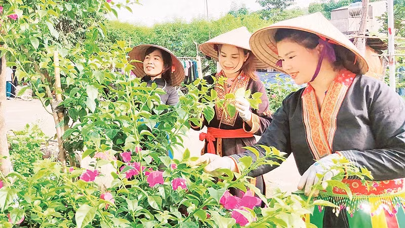 Bộ mặt nông thôn Ba Chẽ có nhiều đổi mới.