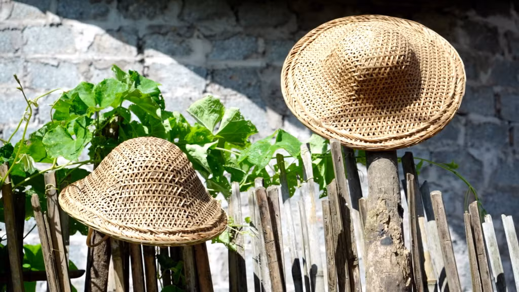 2 kiểu dáng mũ lá tre do ông Minh tạo ra: Kiểu dáng mũ cối (trái) và kiểu mũ rộng vành truyền thống (phải).
