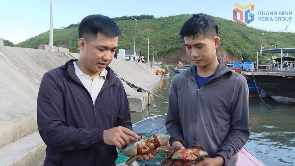 Ngư dân Đầm Hà yên tâm neo đậu tàu thuyền trước và sau mỗi lần ra biển khai thác thuỷ sản.