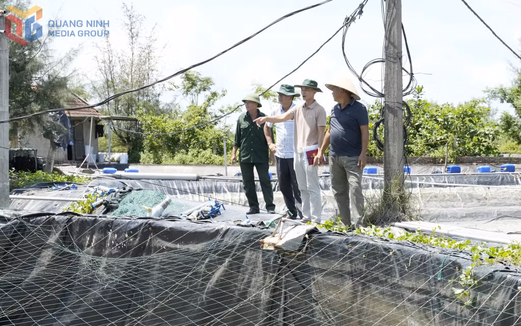 Cán bộ khu phố Hải Đông 2 bám sát địa bàn, nắm chắc tình hình sản xuất và đời sống nhân dân trên địa bàn.&nbsp;