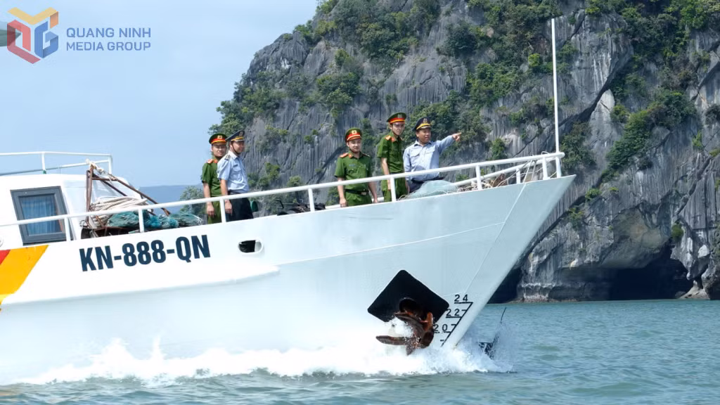 Phòng Cảnh sát kinh tế phối hợp lực lượng Kiểm ngư tăng cường tuần tra, kiểm tra, kiểm soát hoạt động khai thác thủy sản trên vùng biển tỉnh, kịp thời phát hiện, ngăn chặn các hành vi vi phạm pháp luật. Ảnh Công an tỉnh Quảng Ninh.