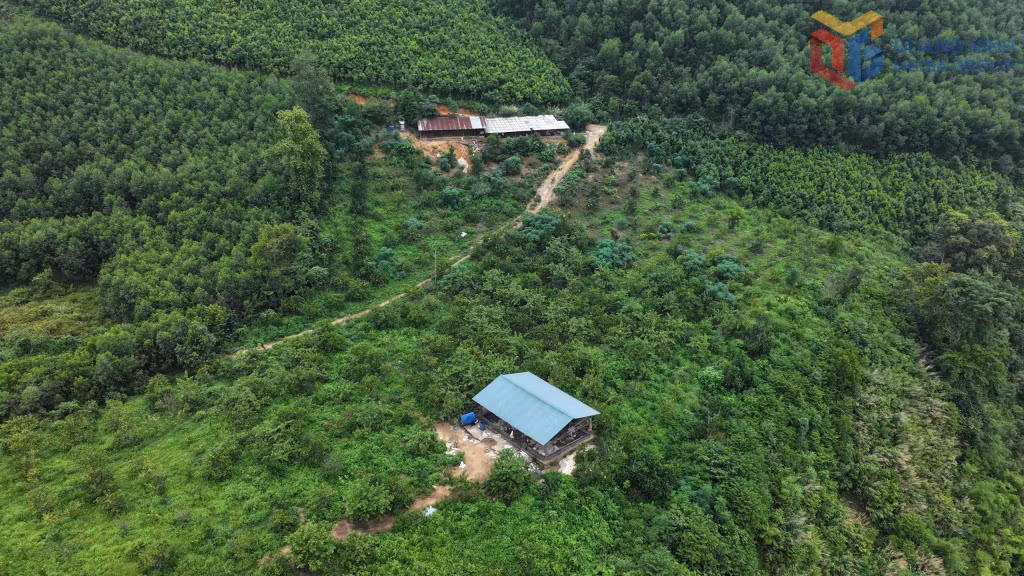 Bình Liêu sẽ tập trung phát triển kinh tế nông - lâm nghiệp gắn với chế biến sâu và du lịch cộng đồng.