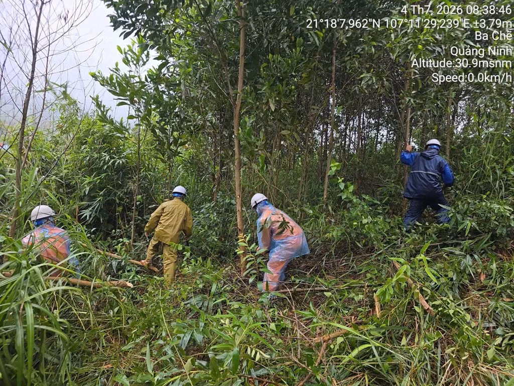 Điện lực Quảng Ninh triển khai phát quang hành lang, kiểm tra và gia cố các vị trí xung yếu chống sạt lở trong sáng 4/7.