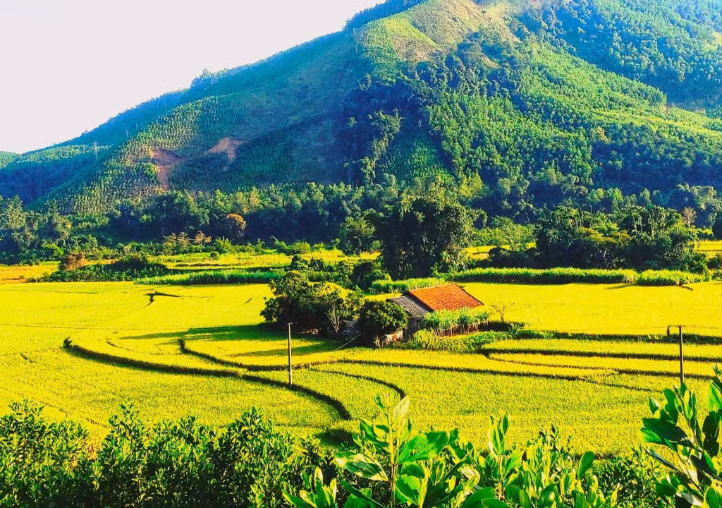 Nét đẹp núi rừng Kỳ Thượng tạo nên sức hút 