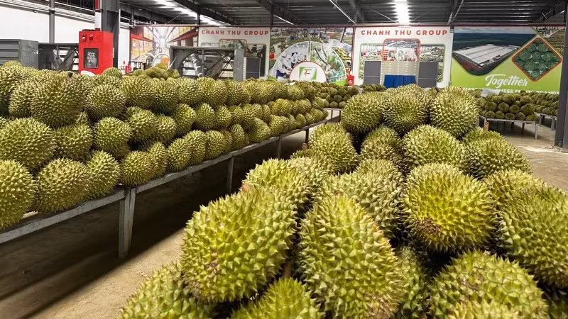 Đơn giản hóa cấp mã số vùng trồng, cơ sở đóng gói, chuyển mạnh từ tiền kiểm sang hậu kiểm, tạo thuận lợi cho xuất khẩu nông sản.