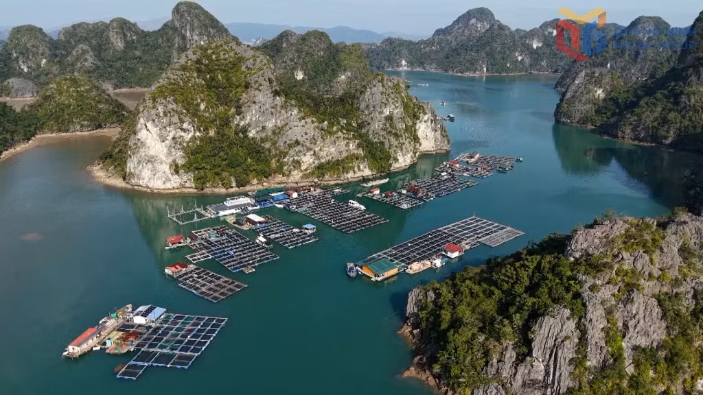Đặc khu Vân Đồn đang tập trung triển khai mô hình du lịch sinh thái biển đảo gắn với nuôi trồng thủy, hải sản.
