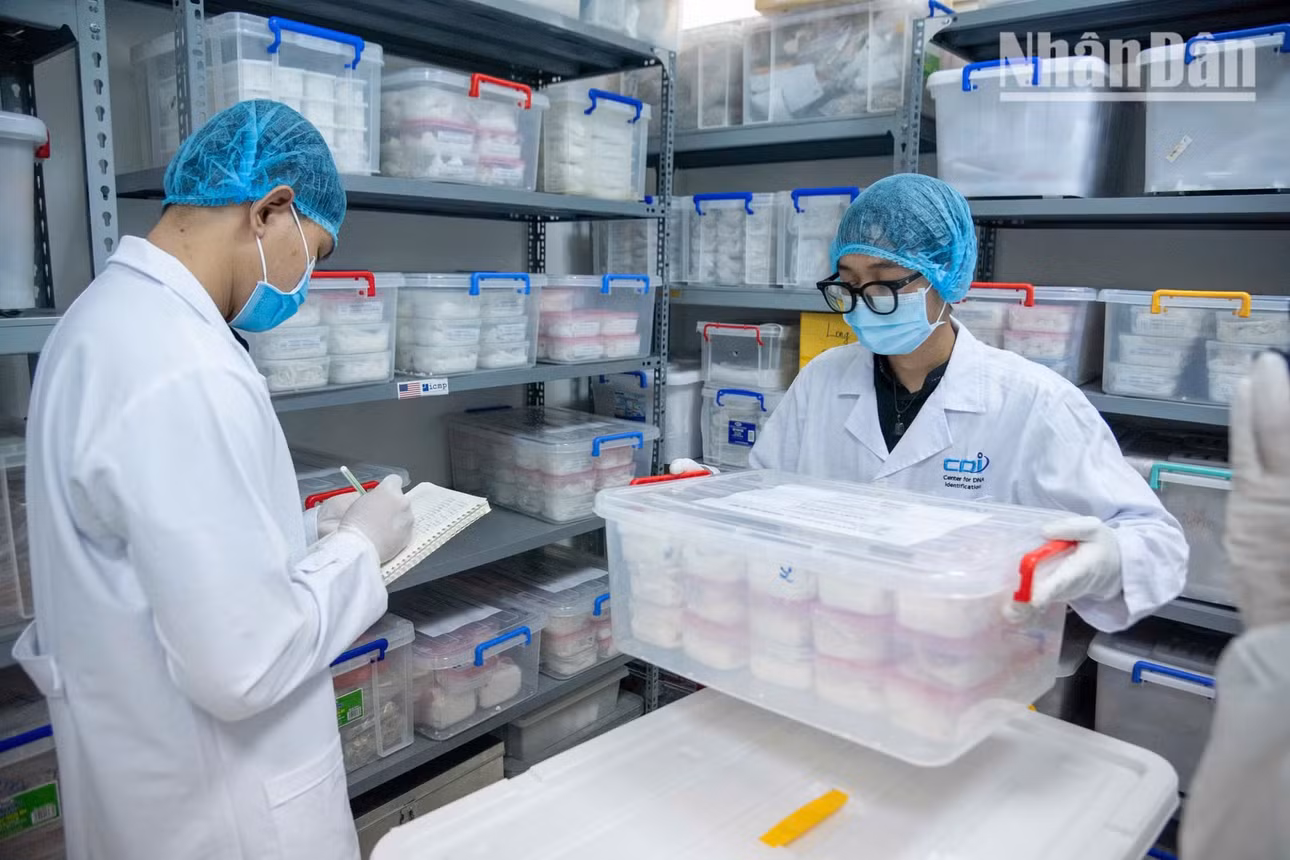 Những mẫu hài cốt mang dấu tích của thời gian, nhiều mẫu trong số đó đã nằm dưới lòng đất 50-80 năm.