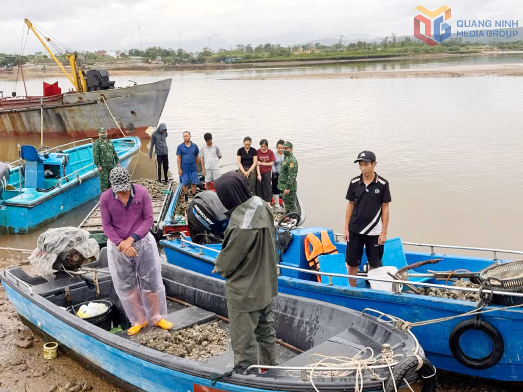 Các đối tượng cắt dây hàu hà của gia đình anh Vi Văn Quyết.