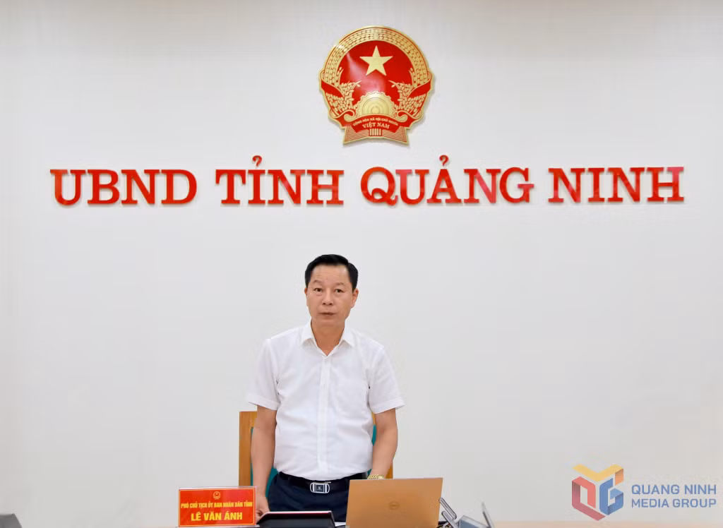 Đồng chí Lê Văn Ánh, Phó Chủ tịch UBND tỉnh phát biểu kết luận cuộc họp.