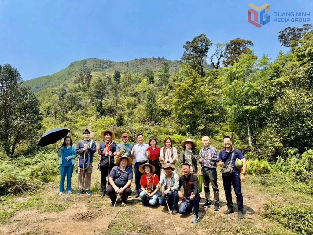 Du khách chụp ảnh kỷ niệm trong hành trình trekking khám phá rừng trà cổ, tìm hiểu cây thuốc trong khuôn khổ dự án. Ảnh: Nguyễn Thị Thiển (Sở VH,TT&DL)