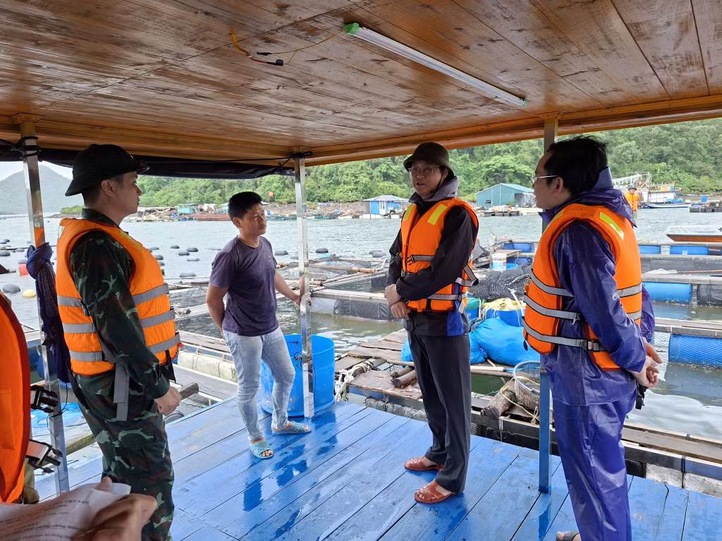 Lãnh đạo xã Đầm Hà kiểm tra, yêu cầu các chủ bè nuôi trồng thuỷ sản thực hiện nghiêm các quy định về phòng chống bão.