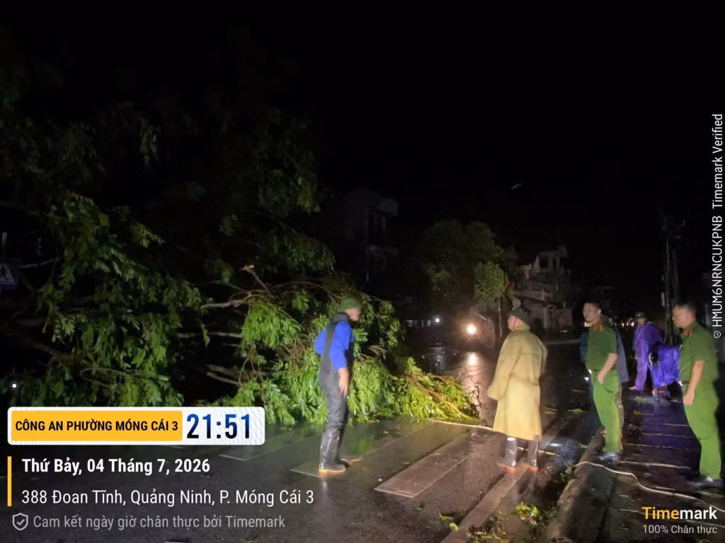 Nhiều khu vực trên địa bàn phường Móng Cái 3 mất điện do ảnh hưởng của bão. Ảnh: Các lực lượng chức năng kịp thời xử lý cây xanh đổ gãy, bảo đảm giao thông thông suốt và an toàn cho người dân.