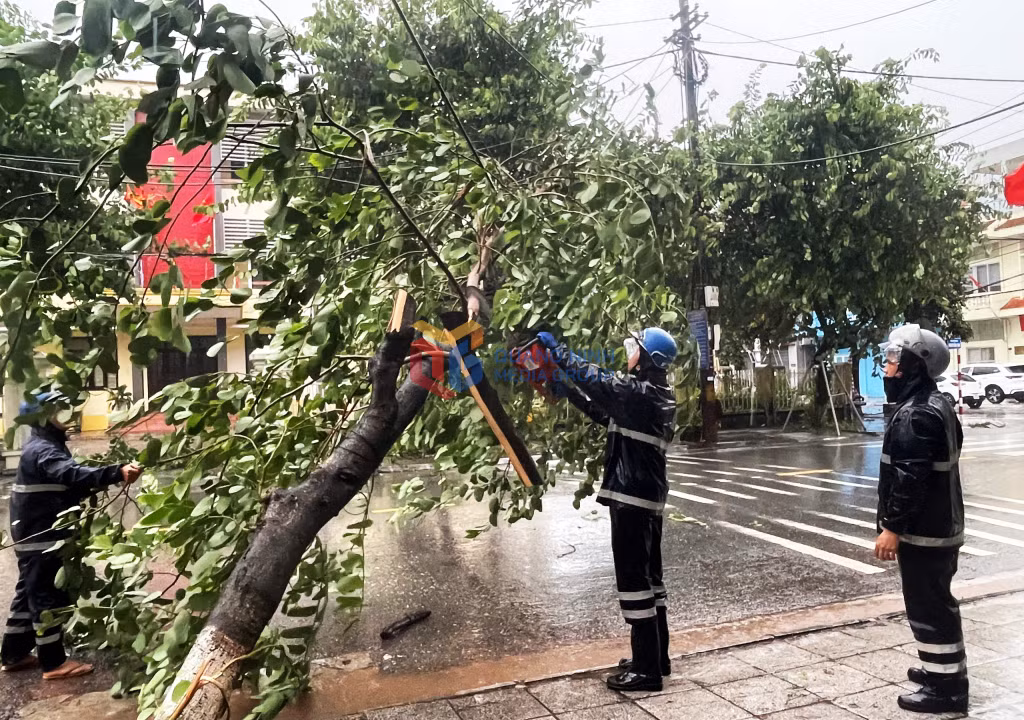 Lực lượng chức năng phường Móng Cái 1 nhanh chóng cắt tỉa, dọn dẹp cây đổ vào đường dây điện để tạo mặt bằng khắc phục sự cố điện trên địa bàn.