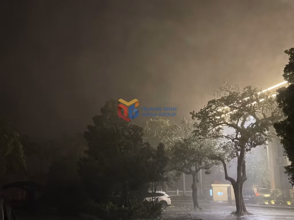 Khu vực Móng Cái có mưa rất lớn, gió giật cấp 8, cấp 9.