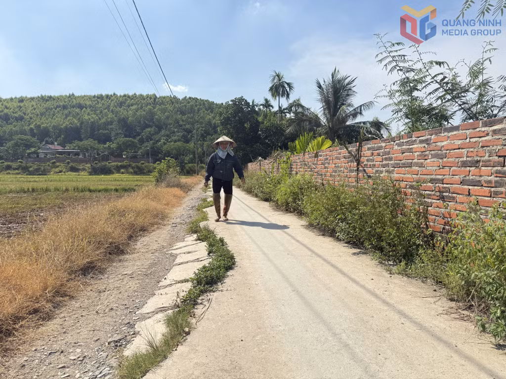 Tuyến đường nội đồng tại khu An Biên, phường Đông Triều xuống cấp sau thời gian dài phục vụ thi công Dự án đường ven sông.