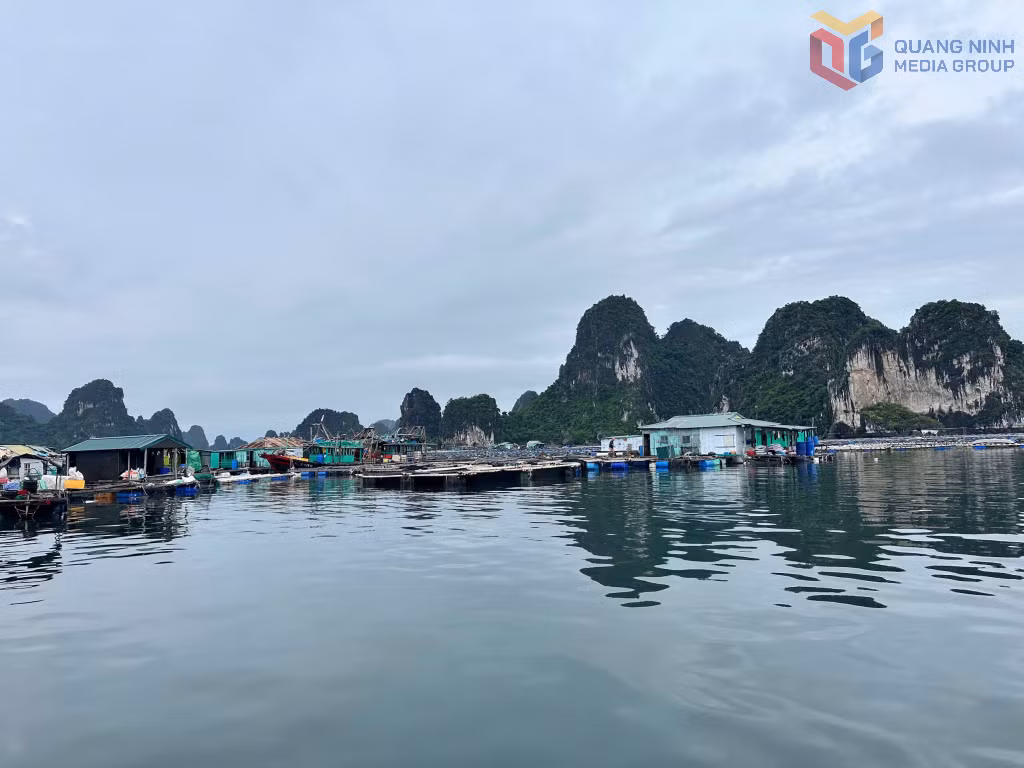 Khoảng 93% số cơ sở được giao khu vực biển vẫn là các hộ sản xuất quy mô nhỏ.