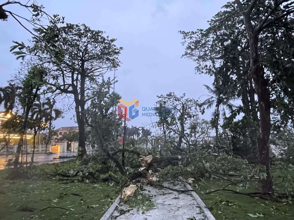 Các phường Móng Cái khẩn trương khắc phục hậu quả mưa bão, sớm ổn định cuộc sống người dân ảnh 1 Các phường Móng Cái khẩn trương khắc phục hậu quả mưa bão, sớm ổn định cuộc sống người dân ảnh 1