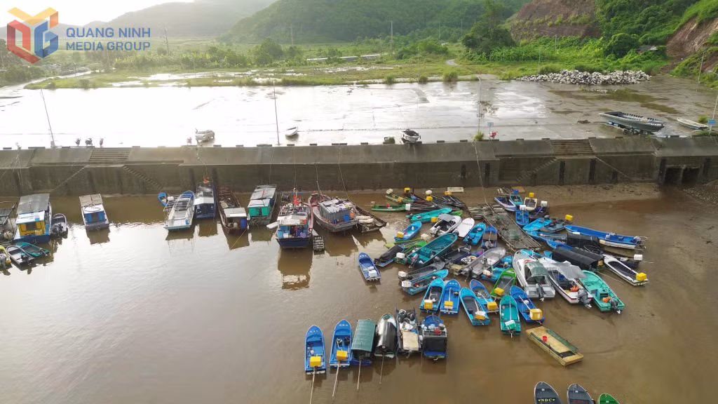 Khu neo đậu Phúc Tiến xã Đầm Hà, một điểm quản lý tàu cá và sản lượng khai thác thuỷ sản khai báo qua eCDT.