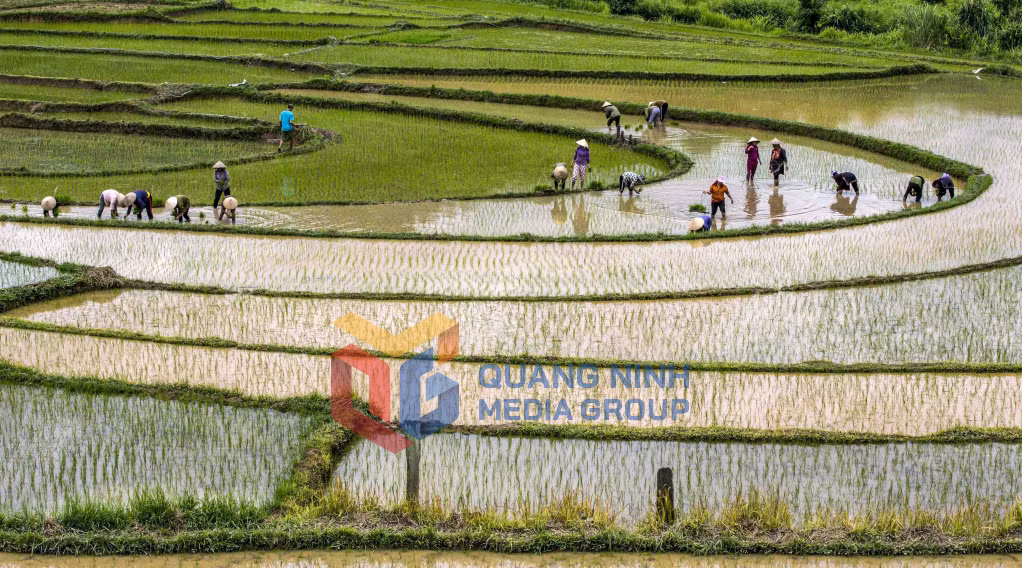 Cung bậc ngày mùa. Ảnh: Dương Phượng Đại