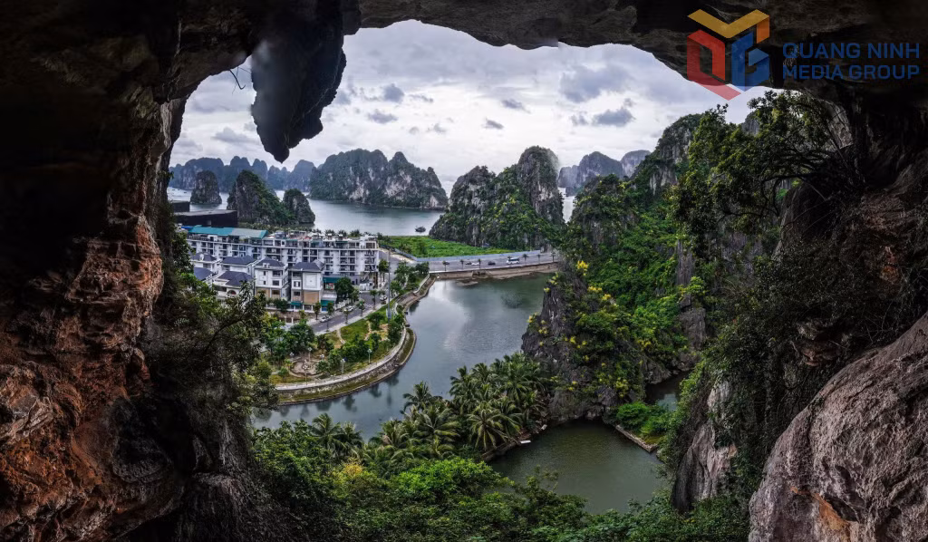 Phất dụ núi - Biểu tượng sức sống trên vịnh Hạ Long ảnh 4 Phất dụ núi - Biểu tượng sức sống trên vịnh Hạ Long ảnh 4