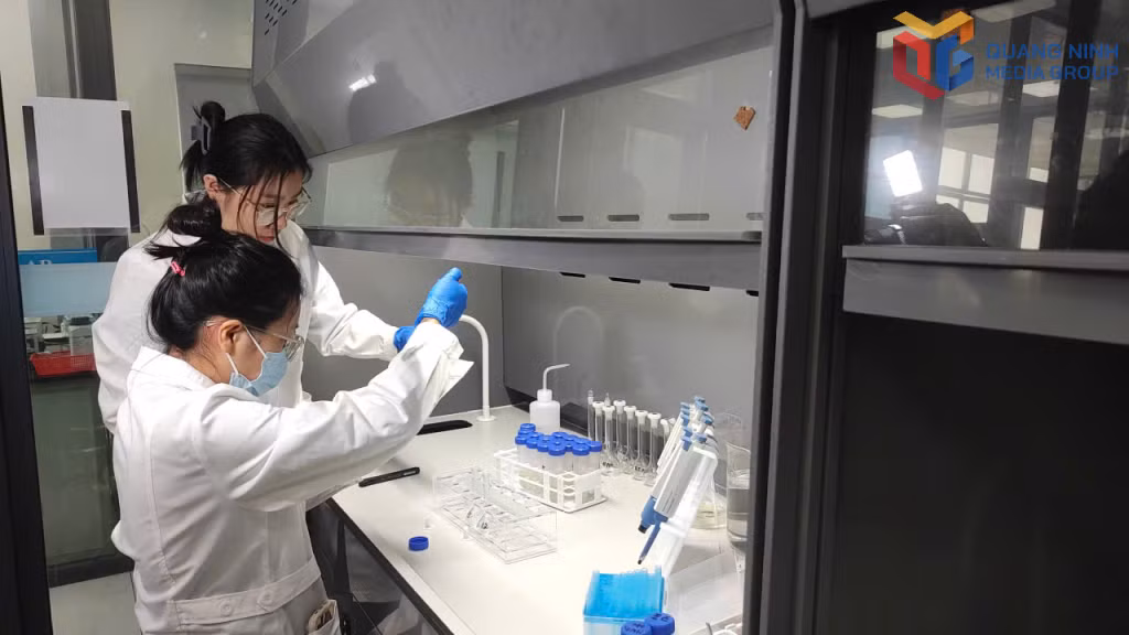 Phòng thử nghiệm của Trung tâm Giám định thử nghiệm Tân Đại Dương được Tổng cục Hải quan Trung Quốc (GACC) và Cục Trồng trọt và Bảo vệ thực vật Việt Nam chính thức công nhận năng lực phân tích Cadimi và Vàng O kiềm tháng 6/2026.