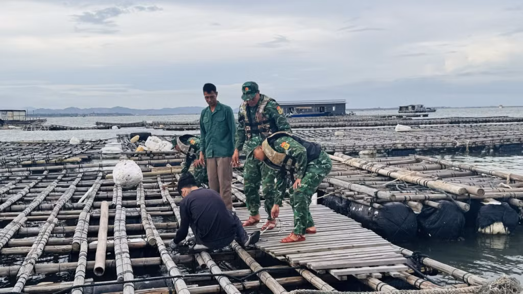 Đồn Biên phòng Trà Cổ tuyên truyền, vận động, giúp đỡ ngư dân chằng níu, di chuyển tàu, bè mảng vào nơi tránh trú an toàn