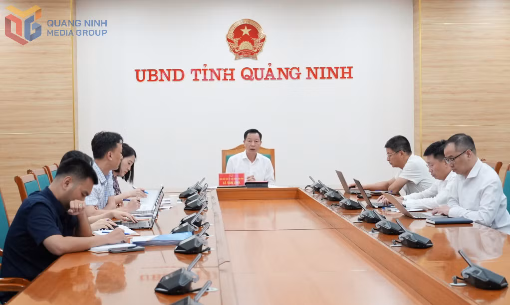 Đồng chí Lê Văn Ánh, Phó Chủ tịch UBND tỉnh phát biểu tại cuộc họp.