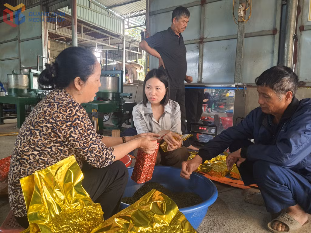 Tổ sản xuất chè hữu cơ xã Quảng Đức kiểm tra mẻ chè mới.