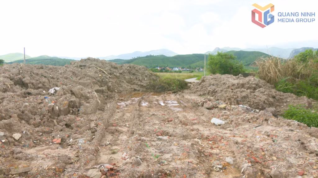 4 tháng trôi qua, khu vực các đối tượng đổ bùn thải trái phép cỏ cây cũng không thể phát triển.
