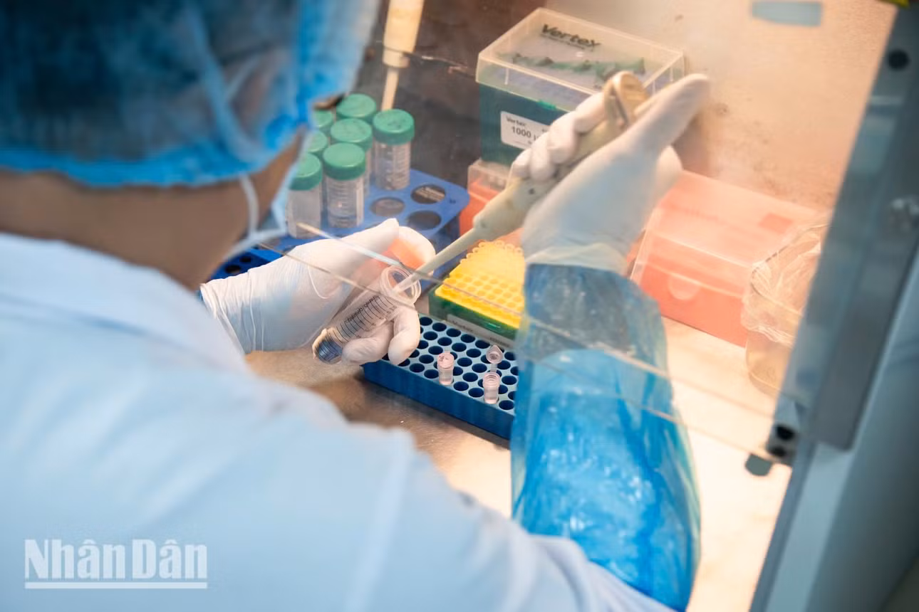 Đầu côn dùng một lần cho mỗi thao tác pipet là quy tắc bắt buộc nhằm loại bỏ hoàn toàn nguy cơ nhiễm chéo giữa các mẫu ADN.