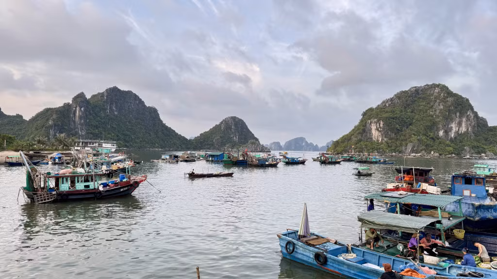 Tàu thuyền neo đậu tại khu vực cảng Cái Rồng.