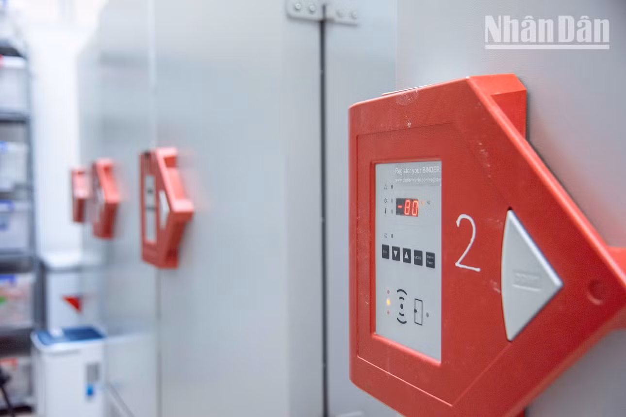 Bên trong kho lưu mẫu, hệ thống tủ lạnh âm sâu tới -80°C đóng vai trò then chốt trong việc bảo quản dài hạn các mẫu vật di truyền nhạy cảm, ngăn chặn sự suy thoái ADN do tác động của môi trường nhiệt đới nóng ẩm, bảo đảm chất lượng mẫu tốt nhất cho các công đoạn giải trình tự sau này.