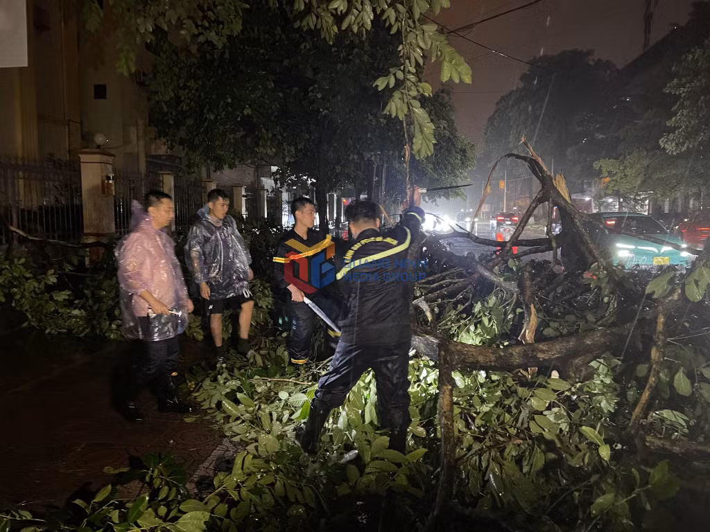 Lực lượng chức năng phường Móng Cái 1 cắt tỉa cây xanh bị gãy đổ.