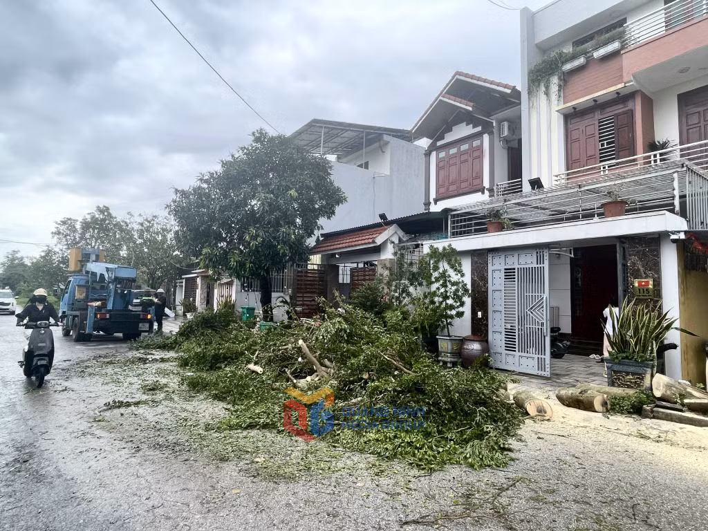Cây xanh bị gãy đổ tại các khu dân cư đang được tích cực dọn dẹp để đảm bảo giao thông.