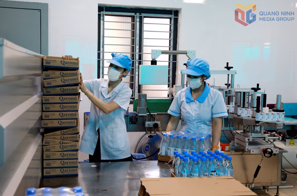 Sản xuất, đóng gói bao bì sản phẩm nước lọc đóng chai tại Xí nghiệp nước Cẩm Phả. Ảnh: Mạnh Trường