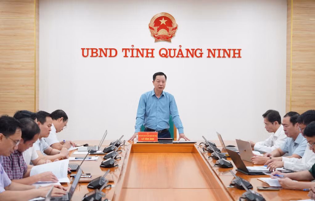 Phó Chủ tịch UBND tỉnh Lê Văn Ánh, phát biểu chỉ đạo tại cuộc họp.