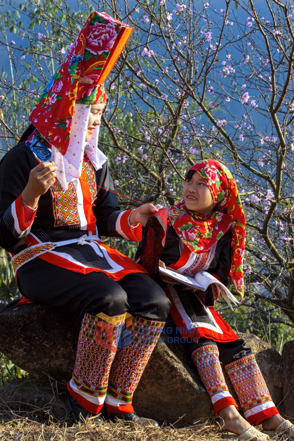Ảnh: Dương Phượng Đại