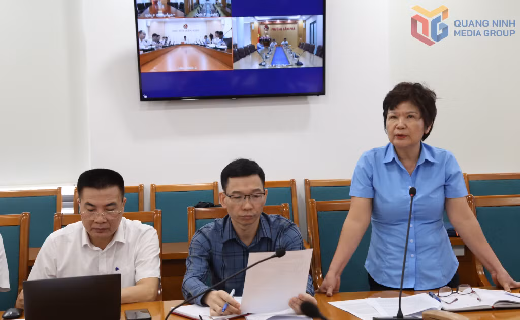 Đại diện lãnh đạo TKV phát biểu ý kiến tại buổi làm việc.