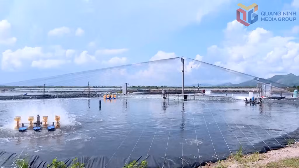 Mô hình nuôi trồng thủy sản tại Quảng Ninh, đóng góp vào mức tăng 18,98% sản lượng năm nay.