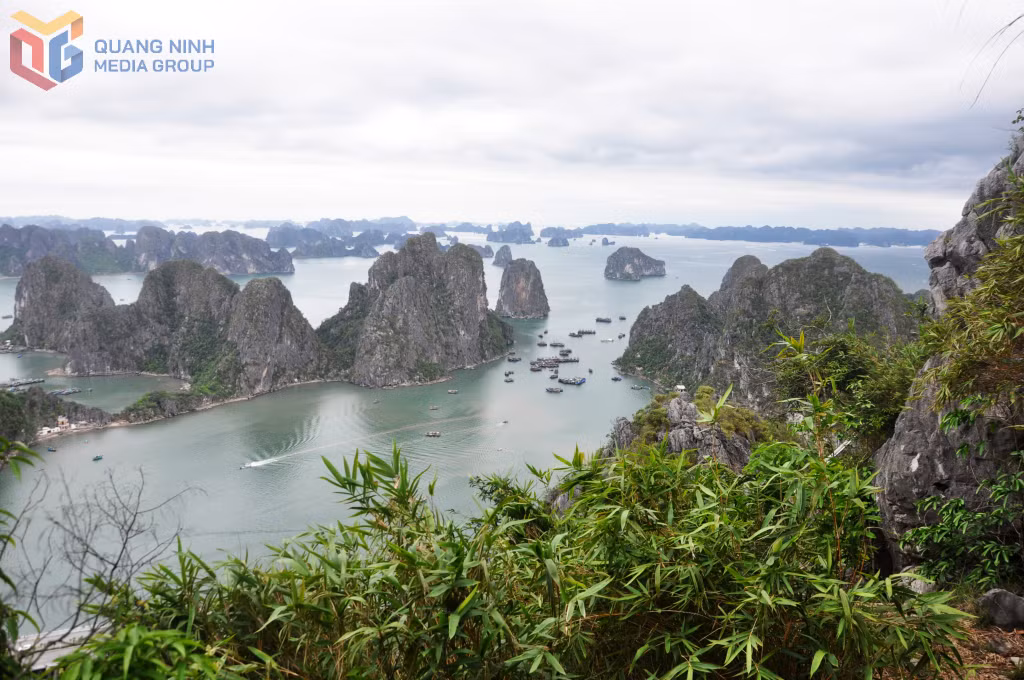 Vịnh Hạ Long thuộc địa bàn Quảng Ninh có diện tích 1.553km2.