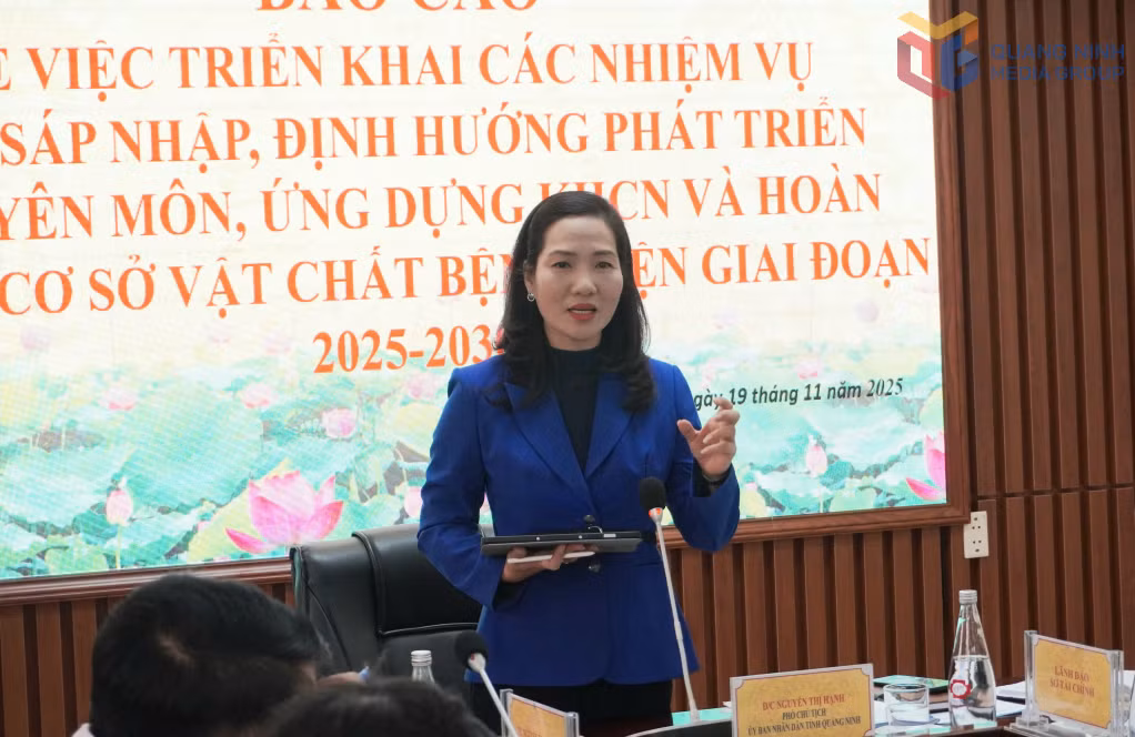 Phó Chủ tịch UBND tỉnh Nguyễn Thị Hạnh phát biểu chỉ đạo tại buổi làm việc.
