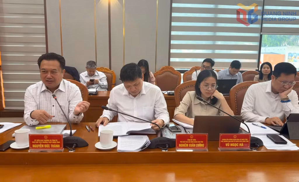 Đồng chí Nguyễn Đức Thành, Ủy viên Ban Thường vụ Tỉnh ủy, Phó Chủ tịch Thường trực HĐND tỉnh, phát biểu tại cuộc họp.