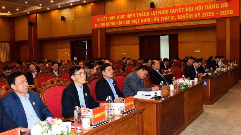 Các đại biểu tham dự hội nghị.