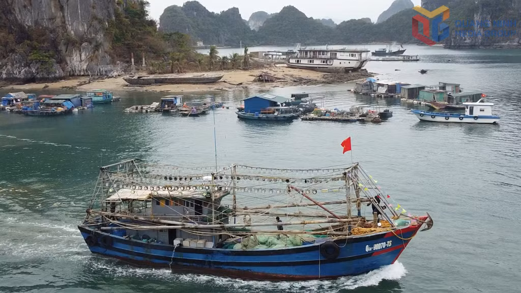 Nhiều tàu cá của Quảng Ninh được tiếp cận nguồn vốn vay ưu đãi để nâng cấp tàu cá đảm bảo điều kiện vươn khơi.