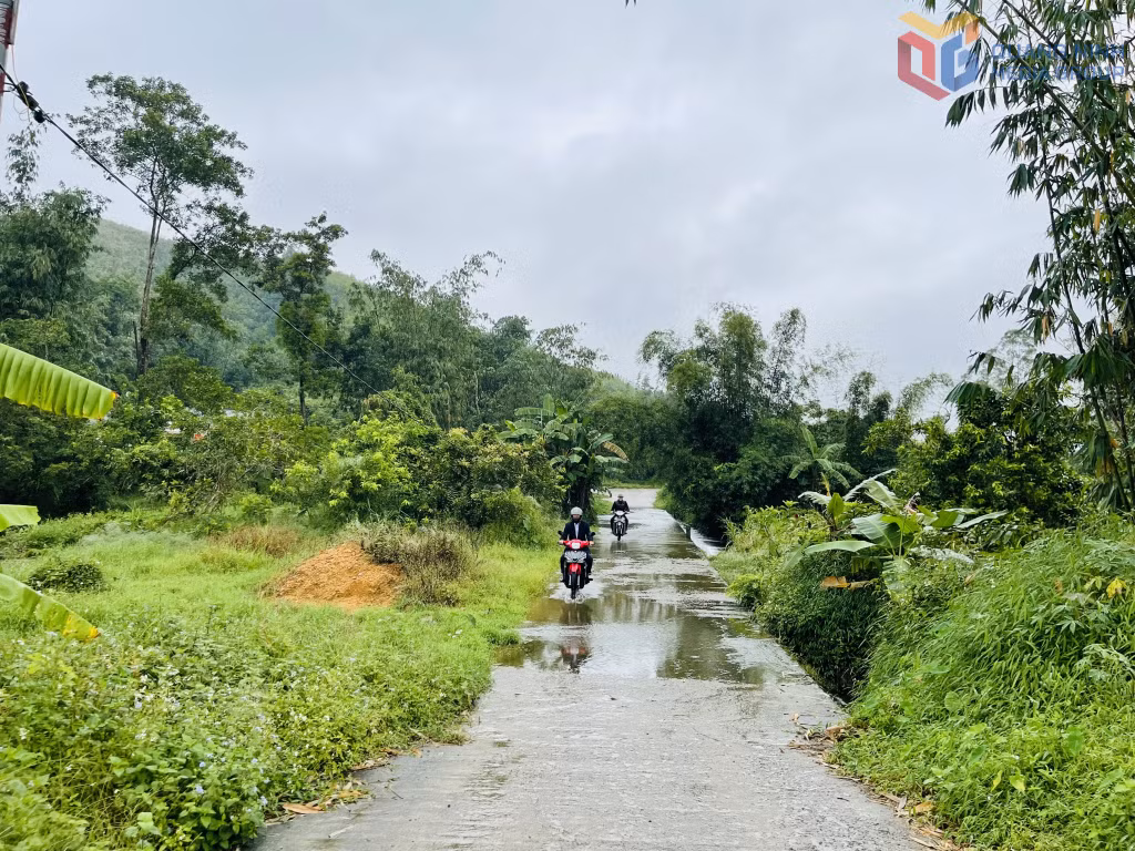 Đường tràn thôn Quảng Mới (xã Đường Hoa).