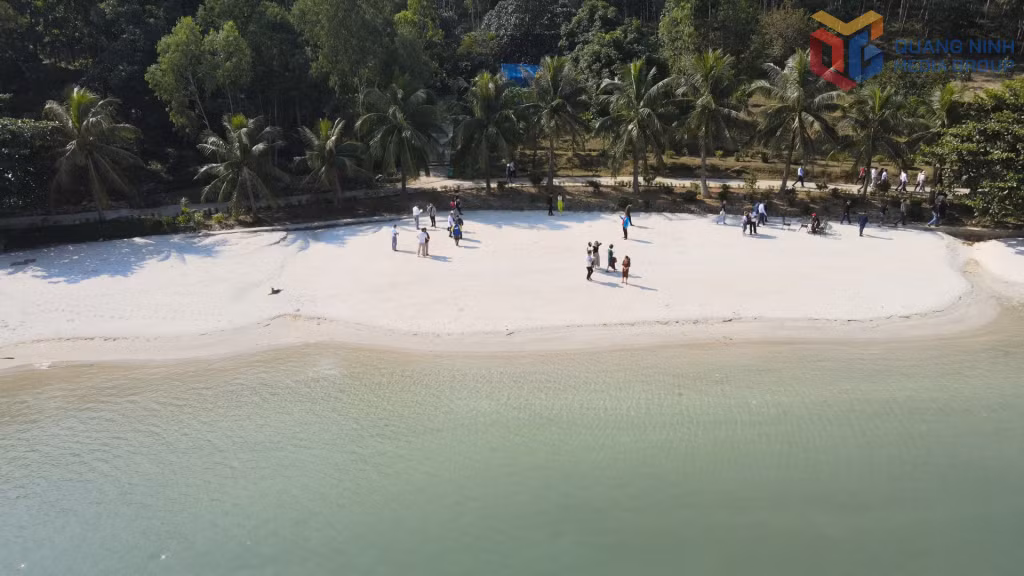 faf