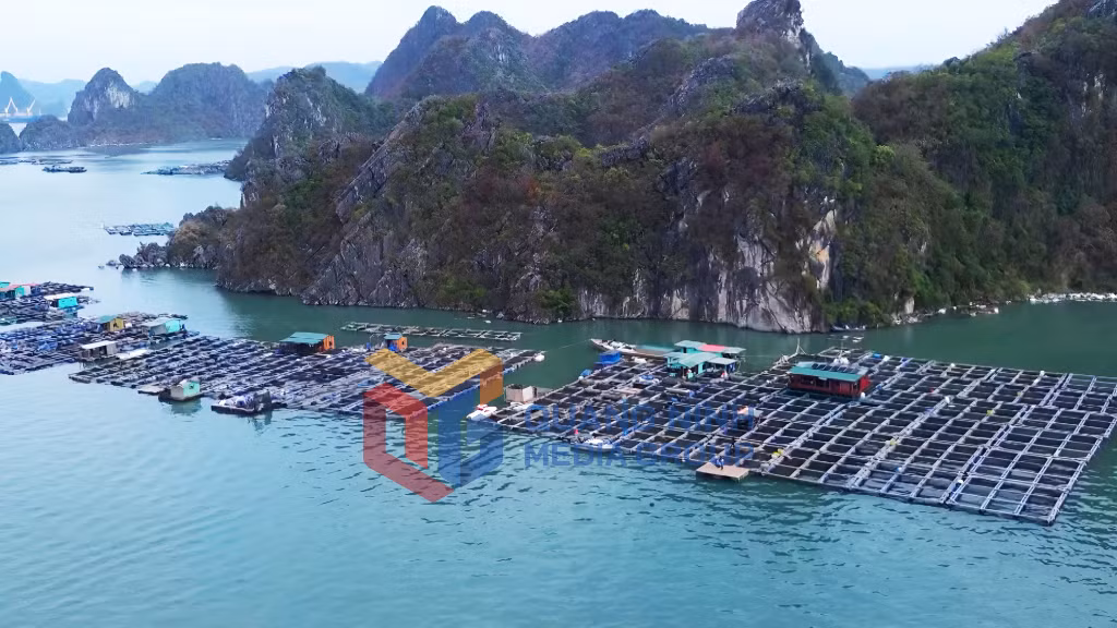 Nuôi trồng thủy sản (3-02025). Ảnh: Minh Đức