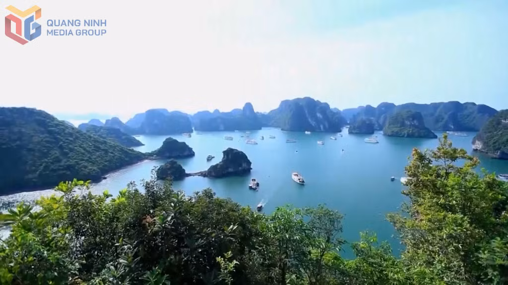 Vịnh Hạ Long luôn có sức hút lớn với du khách quốc tế.