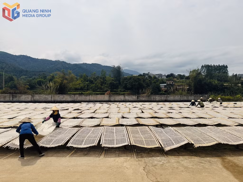 Người dân huyện Bình Liêu phơi miến.